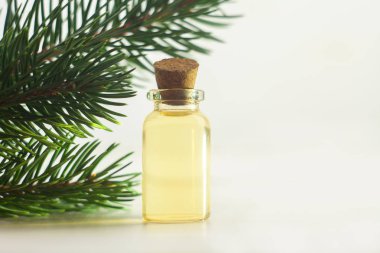 Güzel cam masada çam özü