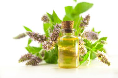 Nane önemli petrol beyaz arka plan üzerinde güzel şişe