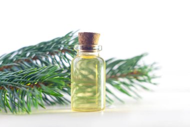 Güzel cam masada çam özü