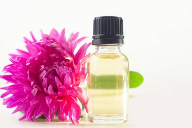 Aster esans beyaz arka plan üzerinde güzel şişe