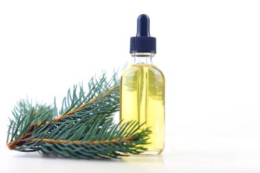 Güzel cam masada çam özü