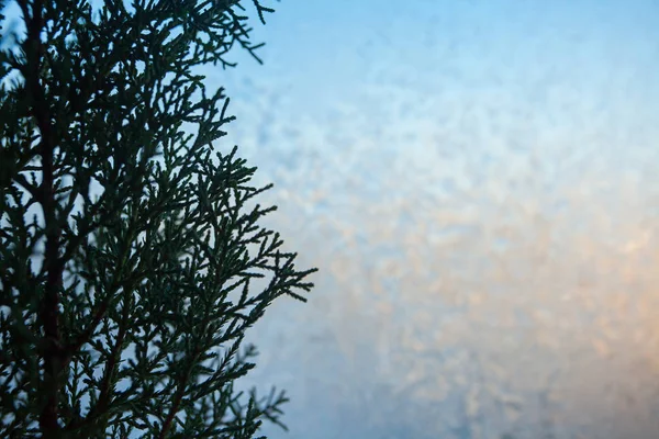Beautiful winter texture patterns of frost on window — Stock Photo, Image