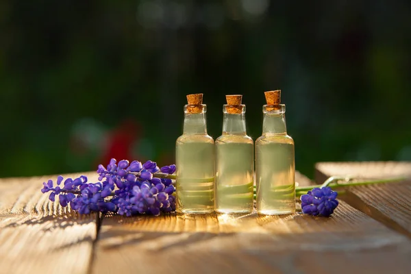 El aceite esencial de la flor de muscari sobre la mesa en la botella hermosa — Foto de Stock
