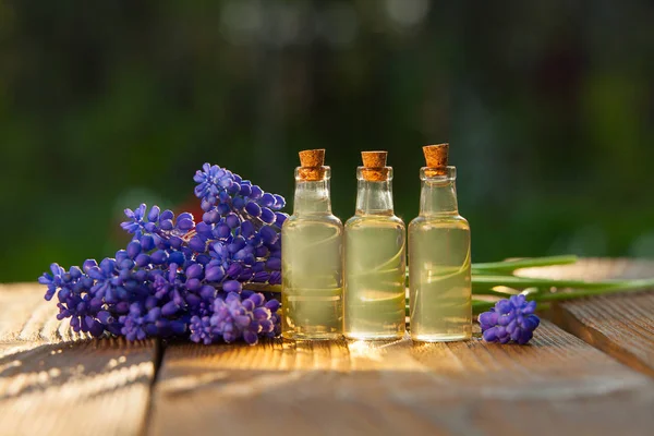 El aceite esencial de la flor de muscari sobre la mesa en la botella hermosa — Foto de Stock