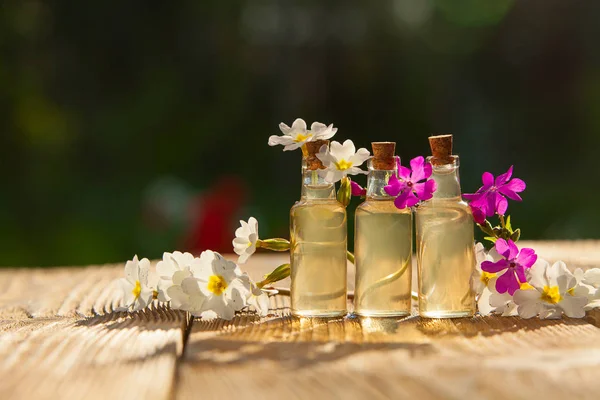 Aceite esencial de onagra en una hermosa botella en la mesa — Foto de Stock