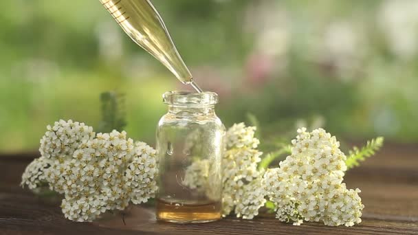 Esencia Flores Mesa Hermoso Frasco Vidrio — Vídeo de stock