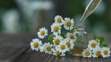 Çiçeklerin özü güzel bir cam şişede masanın üzerinde.