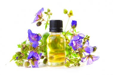 meadow geranium essential oil in  beautiful bottle on White back clipart