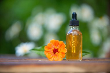 Ahşap arka plan üzerinde güzel şişe Zinnia uçucu yağ