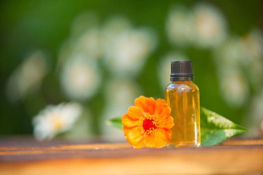 Ahşap arka plan üzerinde güzel şişe Zinnia uçucu yağ