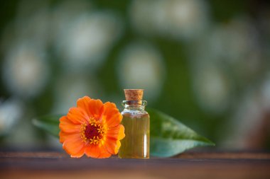 Ahşap arka plan üzerinde güzel şişe Zinnia uçucu yağ