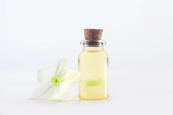 Winged tobacco essential oil in  beautiful bottle on White backg — 스톡 사진