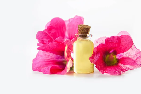 Mallow essential oil in  beautiful bottle on White background — Stock Photo, Image