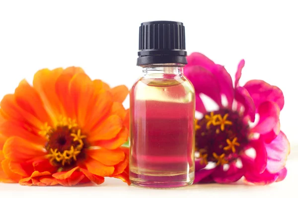 Aceite esencial de Zinnia en una hermosa botella sobre fondo blanco — Foto de Stock