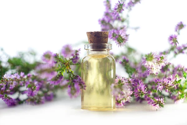 Aceite esencial Calluna en hermosa botella sobre fondo blanco — Foto de Stock