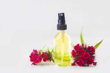 Güzel Cam masaya çiçek özü