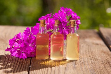 çuha çiçeği esans masada güzel şişe