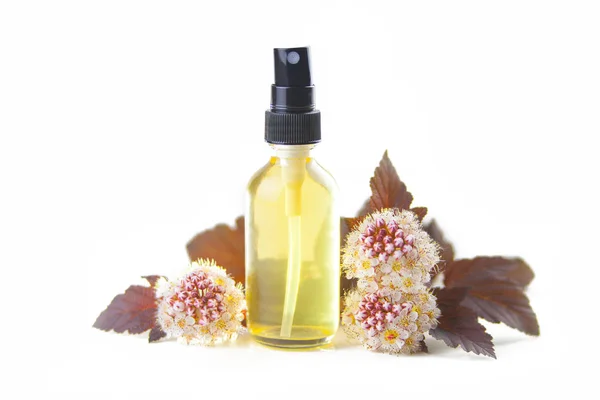 Ninebark óleo essencial em bela garrafa no fundo branco — Fotografia de Stock