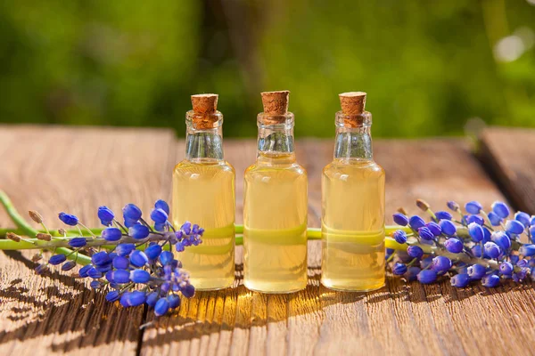 El aceite esencial de la flor de muscari sobre la mesa en la botella hermosa — Foto de Stock