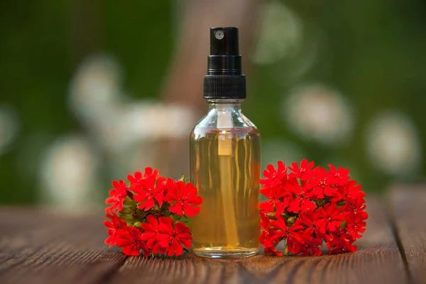 Aceite esencial de catchfly en hermosa botella sobre fondo de madera — Foto de Stock