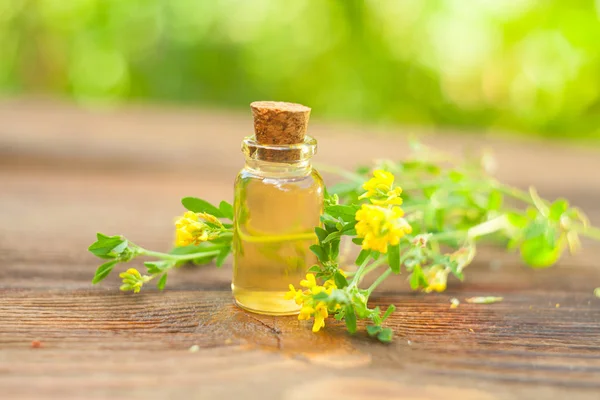 Burtrifoglio olio essenziale in bella bottiglia su sfondo bianco — Foto Stock