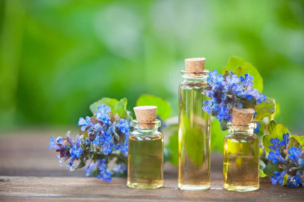 Aceite esencial de bugleherb en hermosa botella sobre fondo de madera —  Fotos de Stock