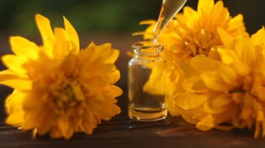 Güzel cam şişe masaya coneflowers çiçek özü