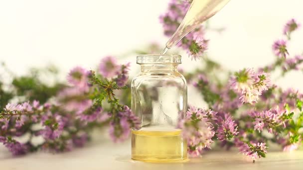 Aceite Esencial Calluna Hermosa Botella Sobre Fondo Blanco — Vídeo de stock