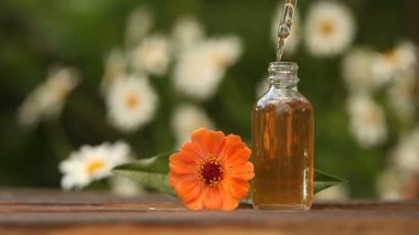 Ahşap arka plan üzerinde güzel şişe Zinnia uçucu yağ