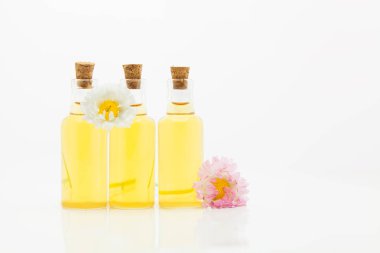 Güzel Cam masaya çiçek özü