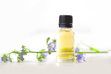 Beyaz backgroun güzel şişede bellflower uçucu yağ