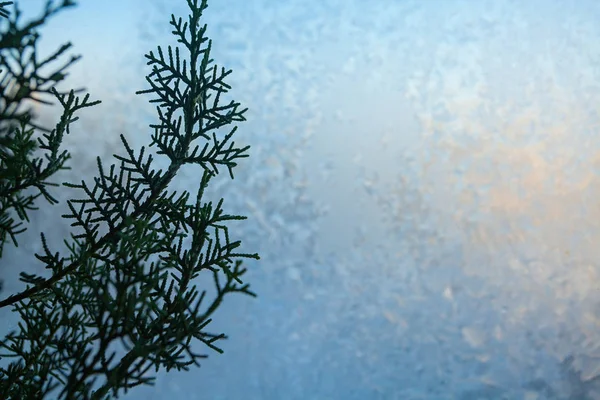 Beautiful winter texture patterns of frost on window — Stock Photo, Image