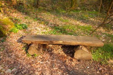 gün batımında ilkbaharda halka açık bir parkta ahşap bank