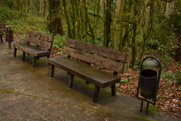 Wooden bench in a public park in spring at sunset — Stock Photo, Image