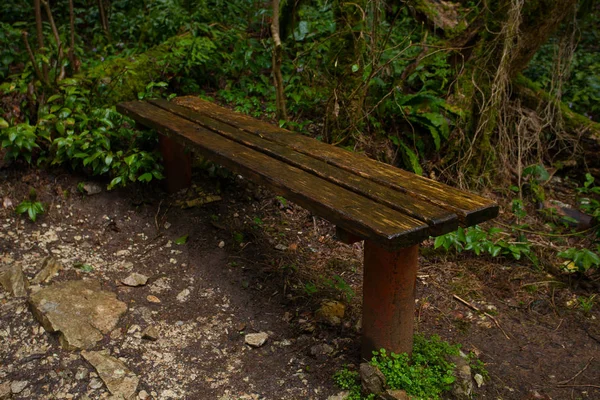 Banco de madeira em um parque público na primavera ao pôr do sol — Fotografia de Stock