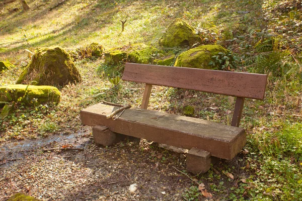 夕暮しの春の公共公園の木製ベンチ — ストック写真