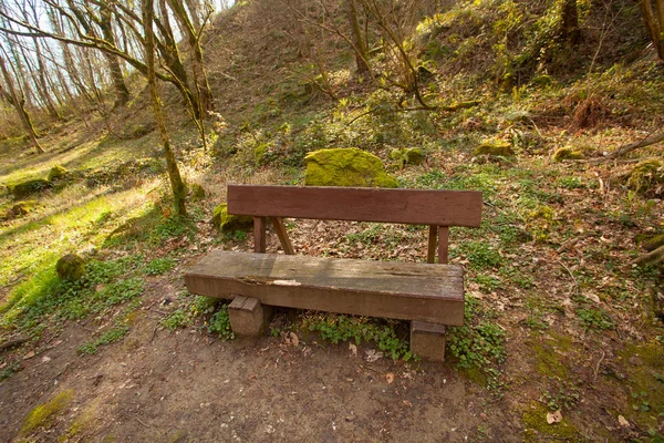 夕暮しの春の公共公園の木製ベンチ — ストック写真
