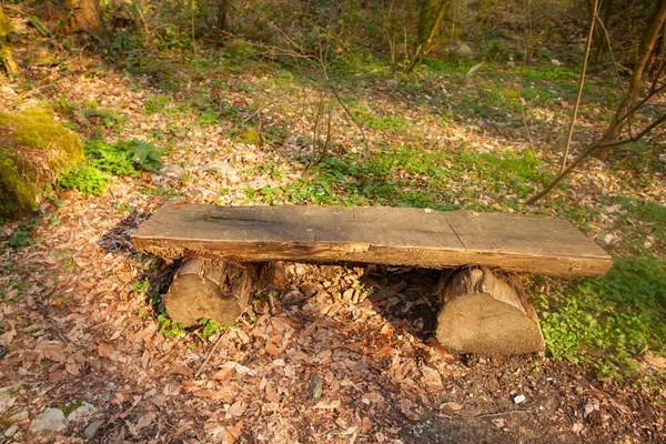 Banco de madera en un parque público en primavera al atardecer —  Fotos de Stock