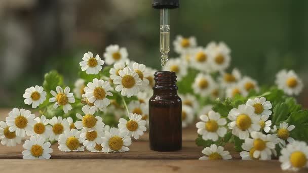 Esencia Flores Mesa Vidrio Hermoso Botella — Vídeo de stock