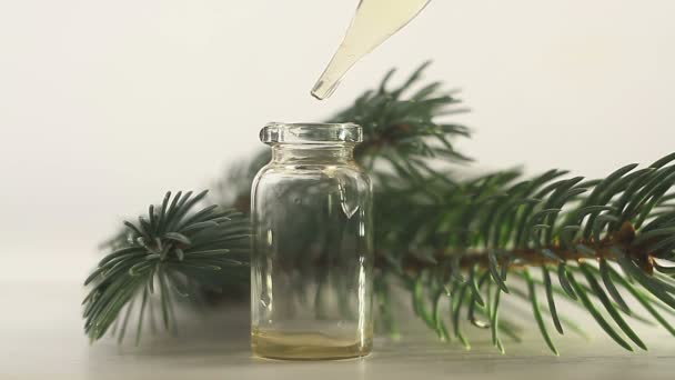 Essence Pine Table Beautiful Glass Jar — Stock Video