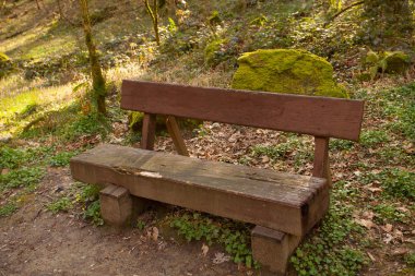 gün batımında ilkbaharda halka açık bir parkta ahşap bank