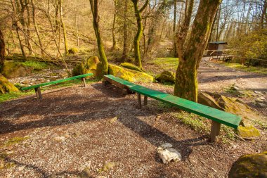 gün batımında ilkbaharda halka açık bir parkta ahşap bank
