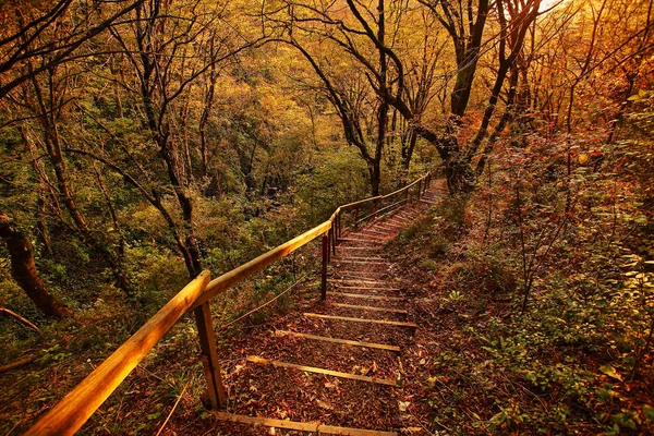 Outono bela paisagem rural panorâmica — Fotografia de Stock