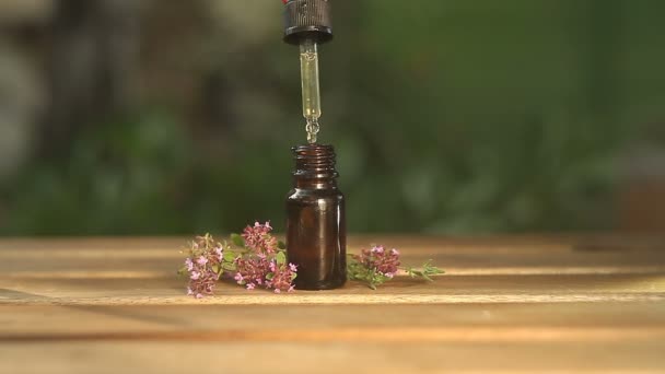 Aceite Esencial Tomillo Una Hermosa Botella Mesa — Vídeos de Stock