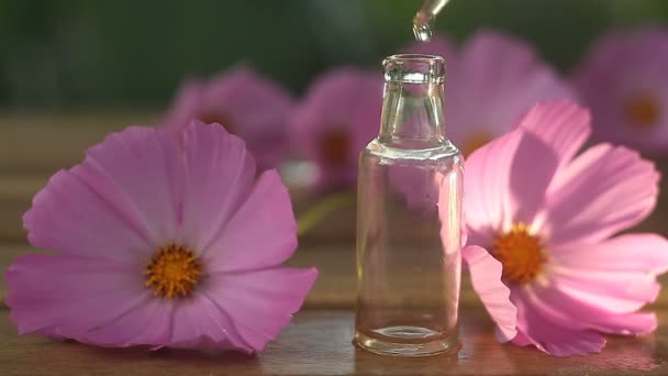 Virágok Lényege Asztalon Gyönyörű Üvegben — Stock videók