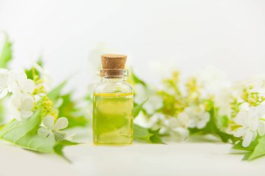 Güzel cam beyaz arka plan üzerinde çiçek özü