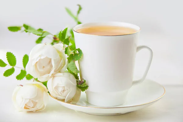Finom zöld tea, gyönyörű üvegtálban fehér háttérképet — Stock Fotó