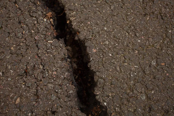 Photo of gray cracked asphalt pavement — Stock Photo, Image