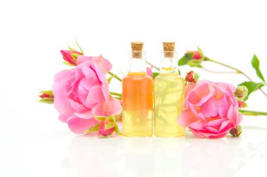 Güzel cam şişe içinde beyaz zemin üzerine gül özü