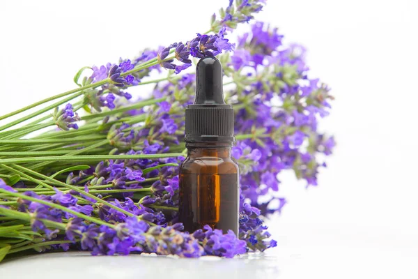 Aceite esencial de lavanda en hermosa botella sobre fondo blanco — Foto de Stock